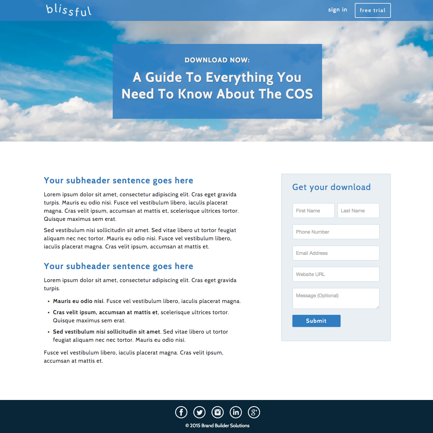 Blissful_Landing_Page-755132-edited.png