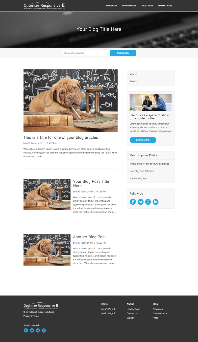 Optimize Responsive 2 Blog HubSpot Template