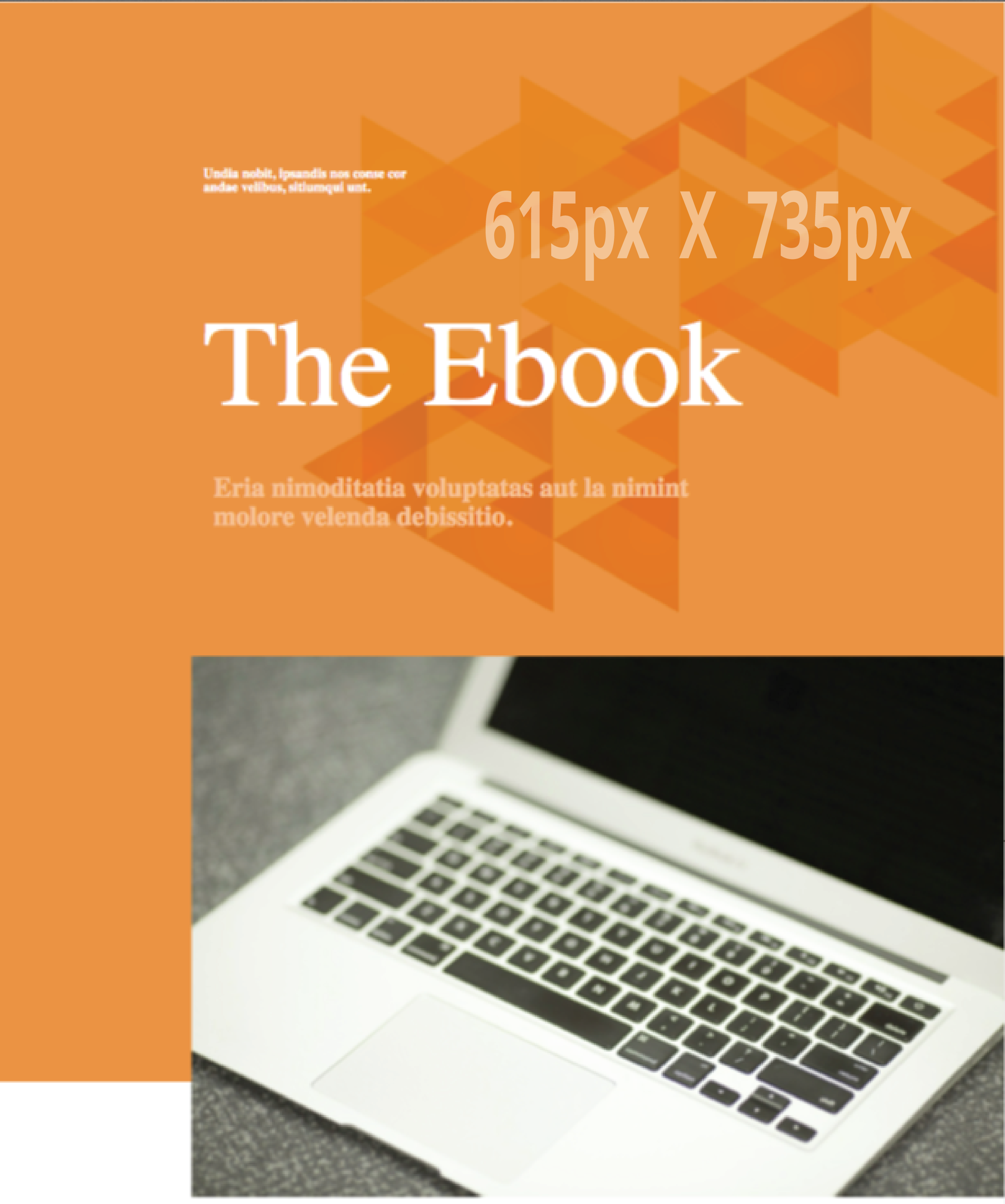 briefcase-orange-ebook.png