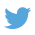 Arrival-Icon-Twitter