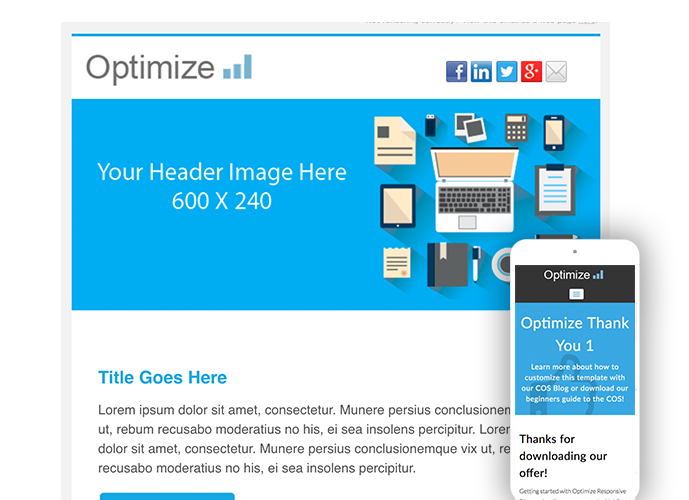 Mini-Sites-Optimize-Campaign.png